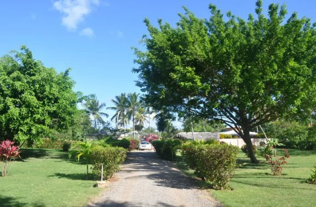 El Jardin Del Coco Las Galeras Samana Republica Dominicana